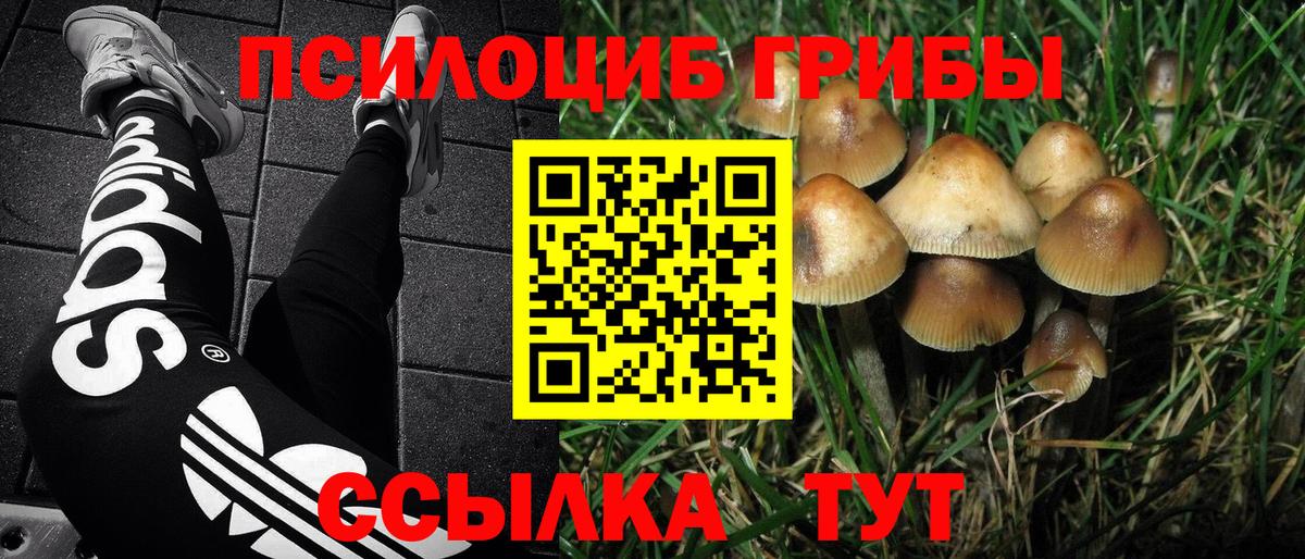 купить   Галлюциногенные грибы мухоморы  Вход с VPN  Ишимбай 